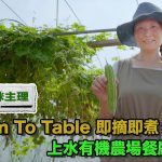 上水有機農場餐廳「找素」！素食媽咪主理，將「Farm To Table」即摘即煮理念，發揮到極致！