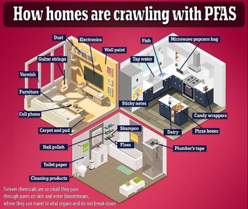 由自來水、食物包裝、油漆、廁紙，到手提電話……家居裝置和用品都可能是PFAS來源。